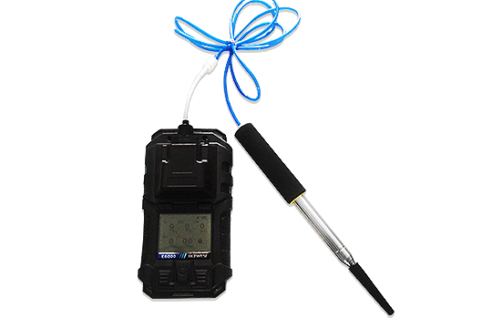 Portable Multi-Gas Detector E6000