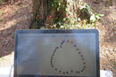 ArborElectro Tree Impedance Tomograph-3