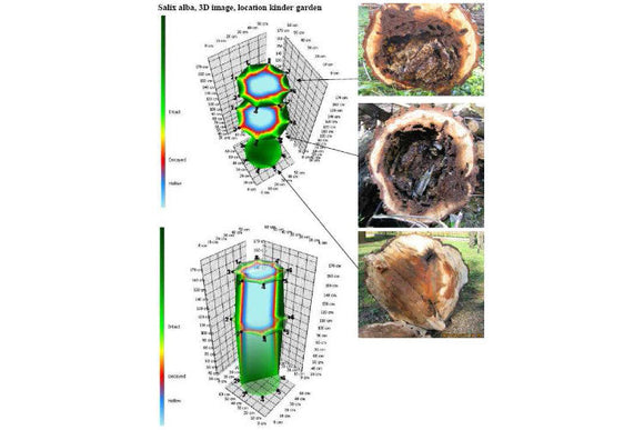 ArborSonic 3D Acoustic Tree Tomograph