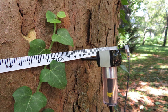ArborSonic 3D Acoustic Tree Tomograph