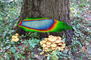 ArborSonic 3D Acoustic Tree Tomograph-2