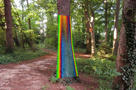 ArborSonic 3D Acoustic Tree Tomograph