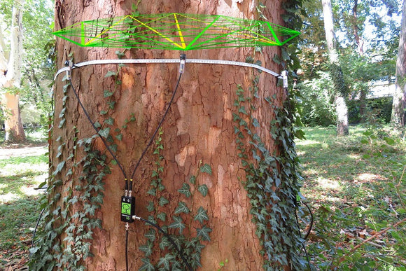 ArborSonic 3D Acoustic Tree Tomograph
