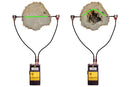 Tree Growth Microsend Timer-1
