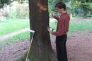 Tree Growth Microsend Timer-2
