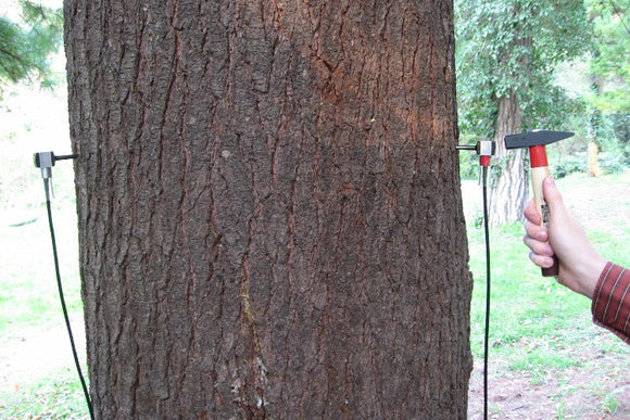 Tree Growth Microsend Timer