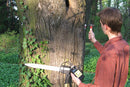 Tree Growth Microsend Timer-4