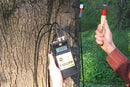 Tree Growth Microsend Timer-5