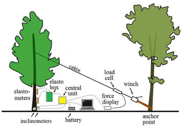 Tree Root & Trunk Stability Pulling Test Kit