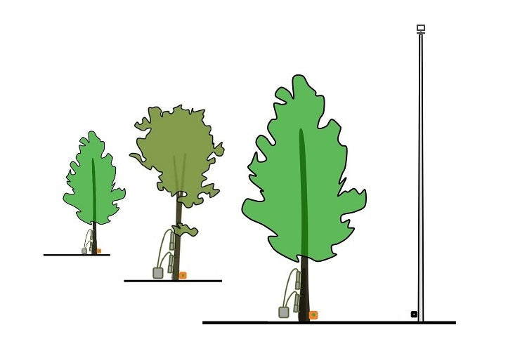 Ultrasonic Anemometer Wind Speed & Direction Sensor
